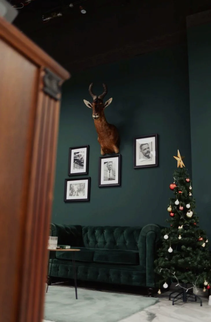 Green wall with a deer head and photos